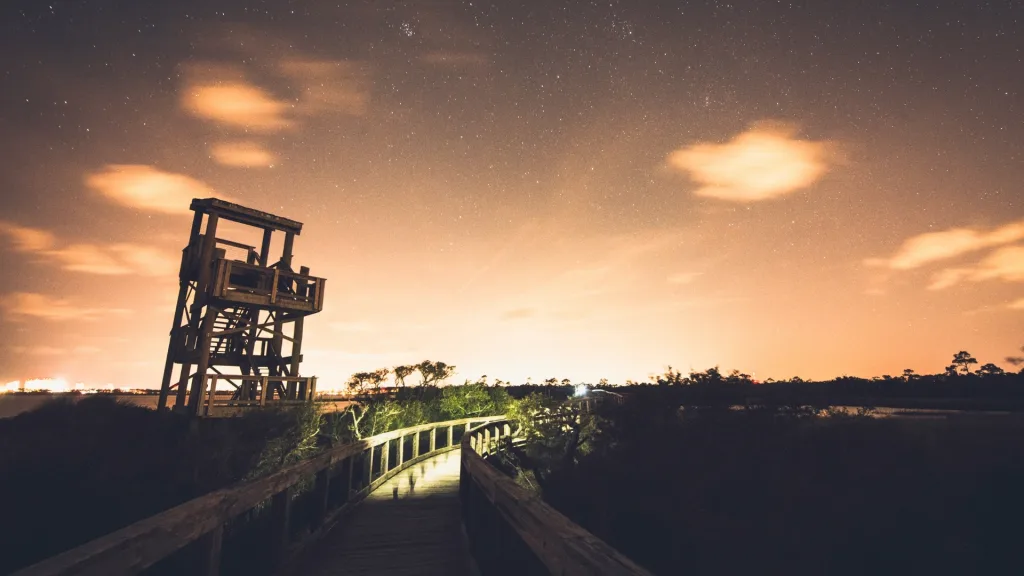BIG LAGOON STATE PARK - OBSERVATION TOWER - WALKING PATH - ENJOYPENSACOLA.COM